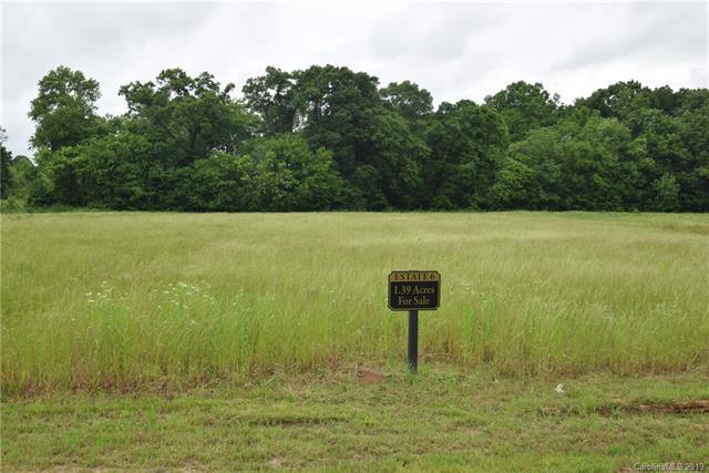 2103 Goose Creek Farm Lane - Photo 1