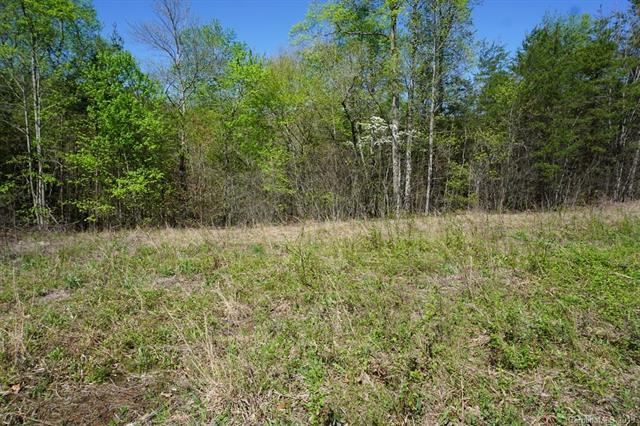 Lot 17, 18,& 19 White Pine Trace - Photo 1