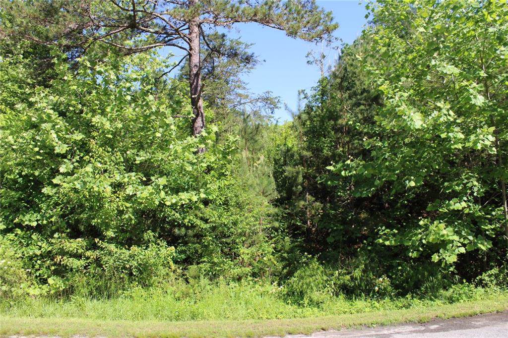 315 Georgetown Road - Photo 1