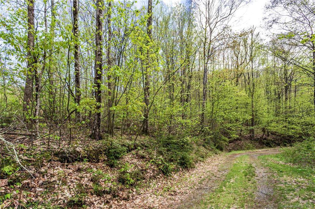 Lot 64 Big Springs Trail - Photo 1