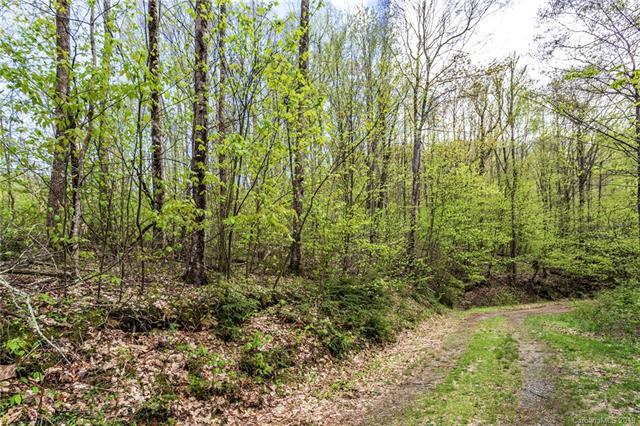 Lot 64 Big Springs Trail - Photo 1