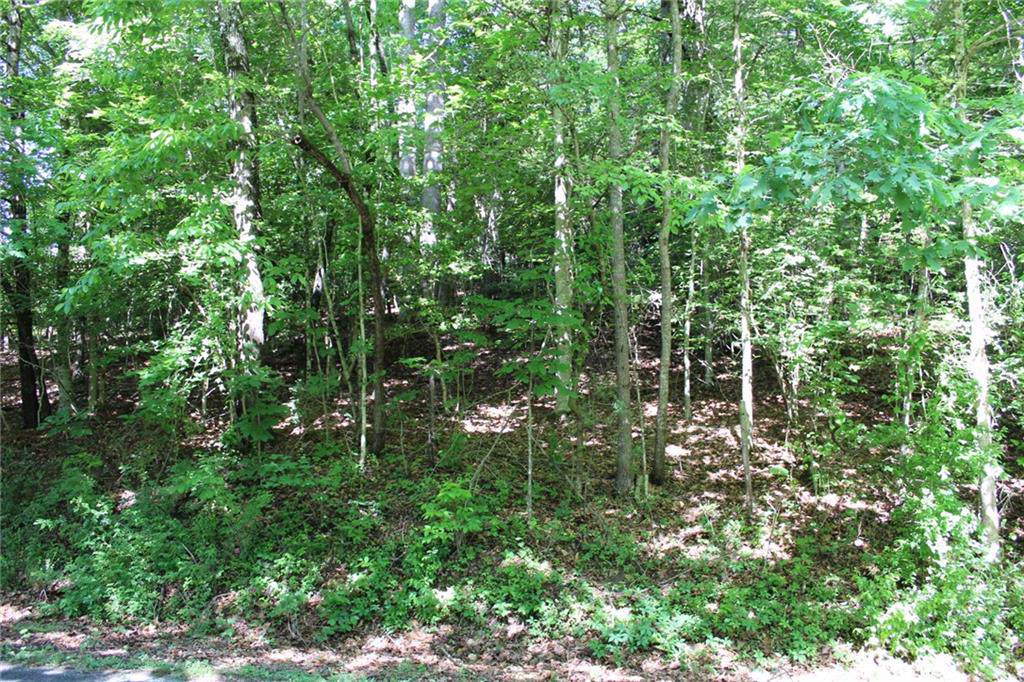 403 Georgetown Road - Photo 1