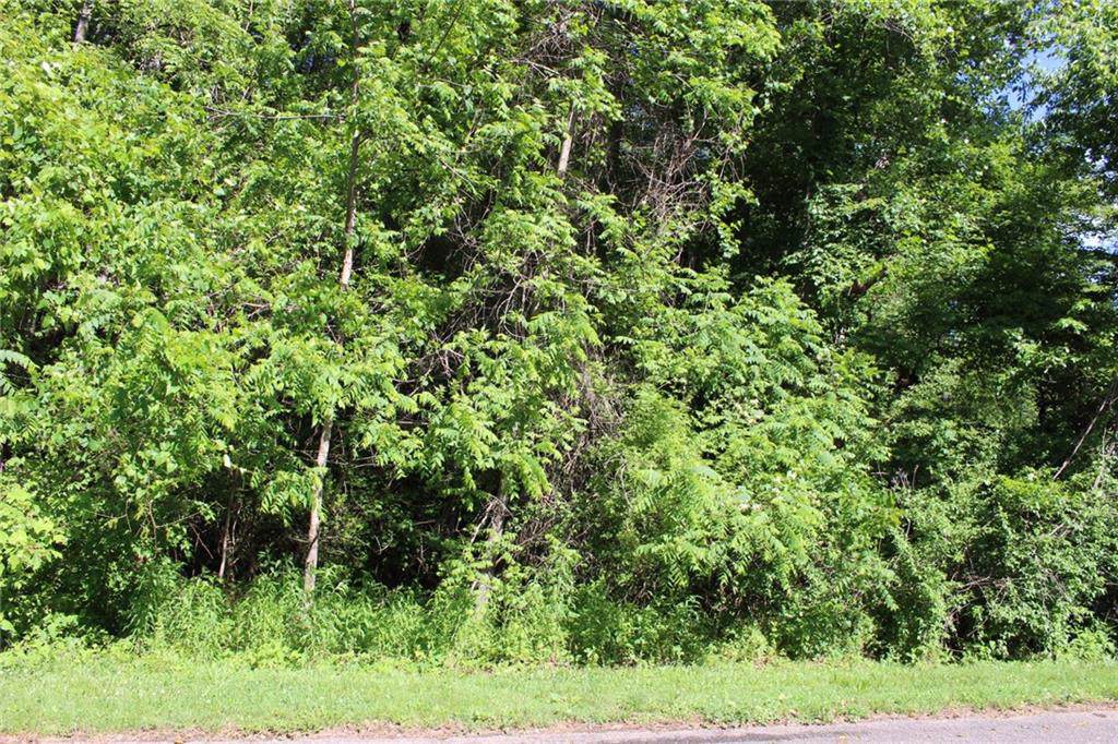 407 Georgetown Road - Photo 1