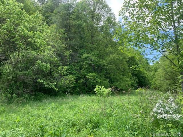 519 Sprinkle Creek Road - Photo 1