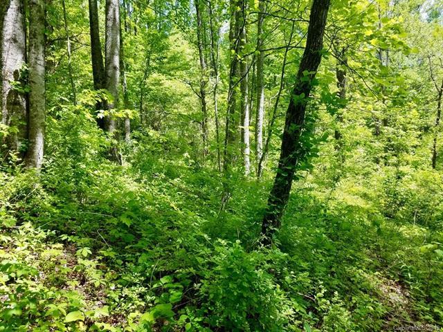 0 Tilley Creek Road - Photo 1