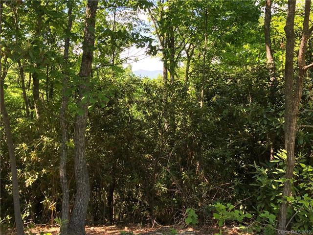 1111 Elm Tree Way - Photo 1