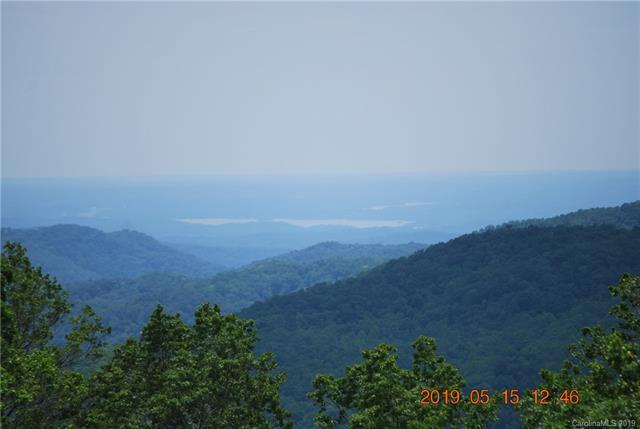 Lot 1 Pickens Highway - Photo 1