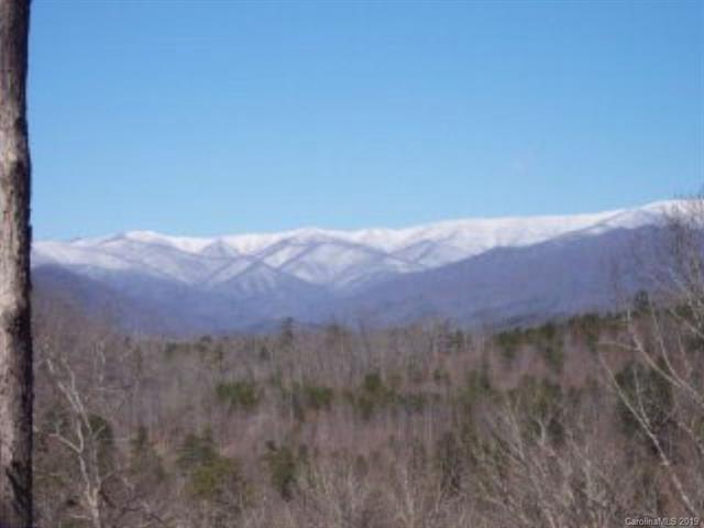 Lot #60-3 Fontana Loop - Photo 1