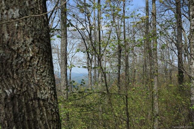 Lot 16/17 Ramp Patch Trail - Photo 1