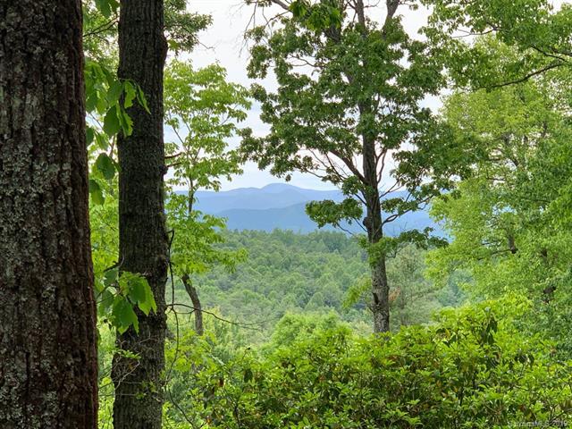 999 Lost Mine Trail - Photo 1