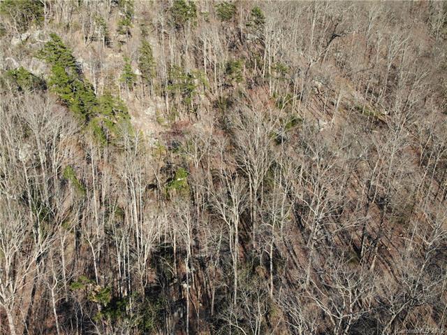 000 Hanging Rock Road - Photo 1