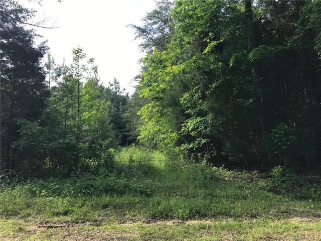 00 Backwoods Lane - Photo 1