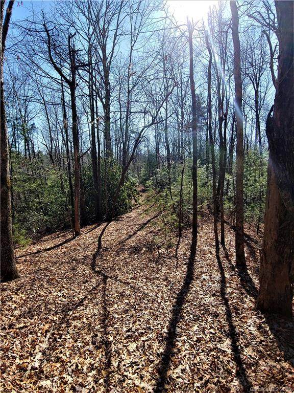 Lot 3 Rock Creek Road - Photo 1