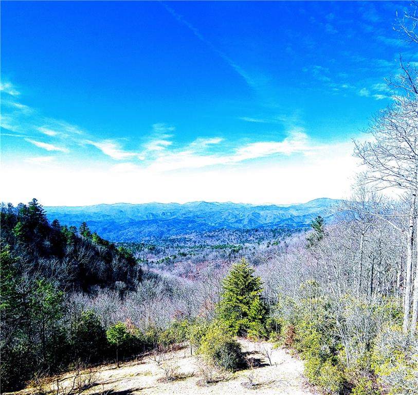 Lot #5 Rock Creek Road - Photo 1