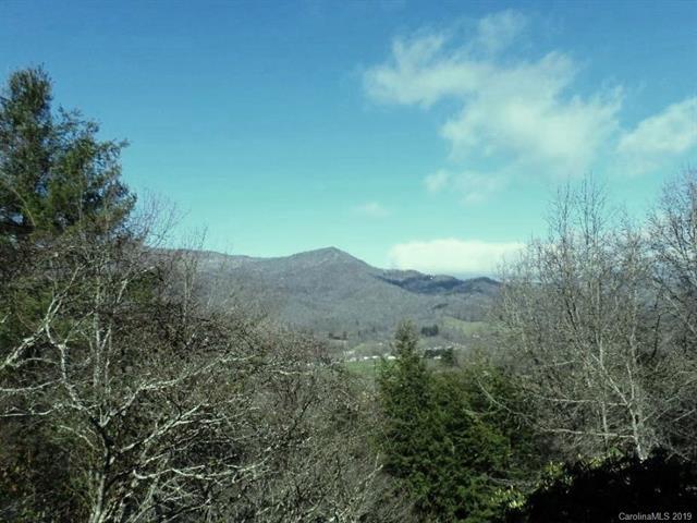 99 Mount Valley Road - Photo 1