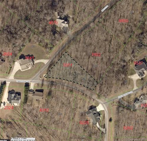 000 Timberland Drive - Photo 1