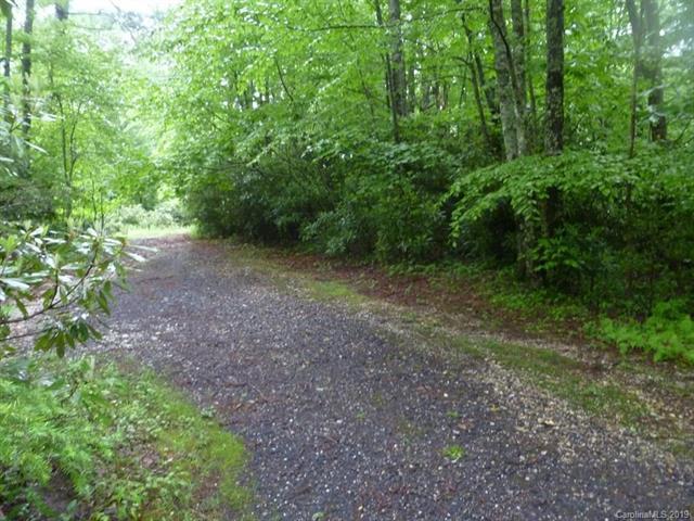 0 Otter Lane - Photo 1