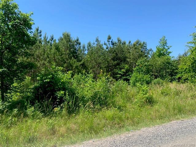 0 Logging Road - Photo 1