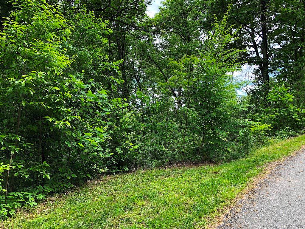 307 Porters Ridge - Photo 1