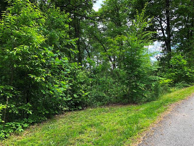 307 Porters Ridge - Photo 1