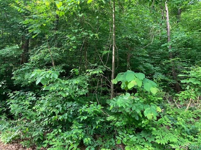 0000 Fall Creek Drive - Photo 1