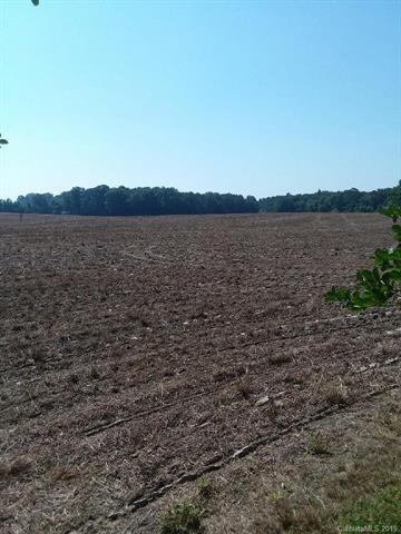 4506 Monroe Ansonville Road - Photo 1