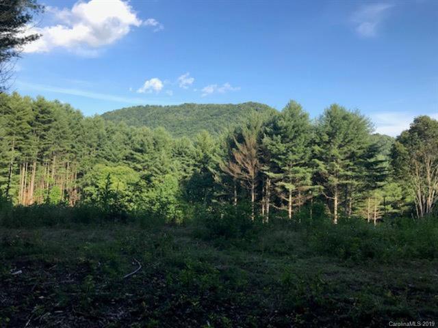 00 Fork Mountain Road - Photo 1