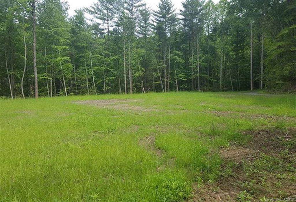 1338 Conley Springs Road - Photo 1