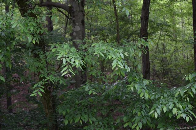 25 Acres Southfork Road - Photo 1