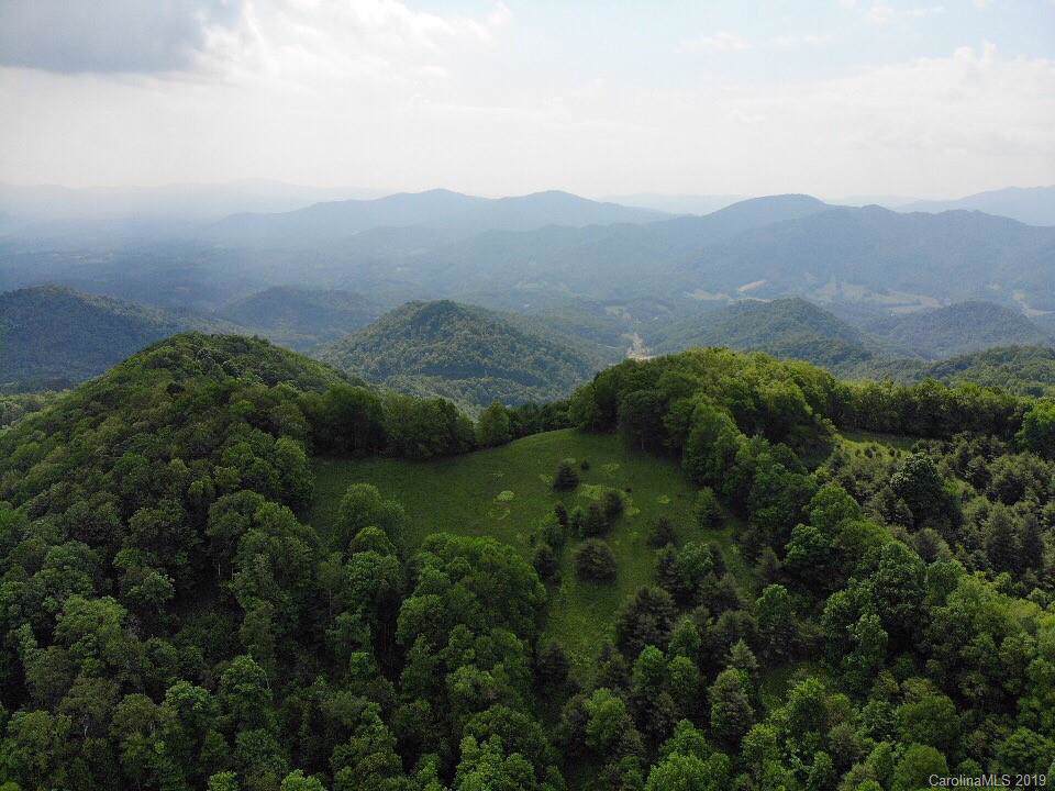 0 Sang Branch - Photo 1