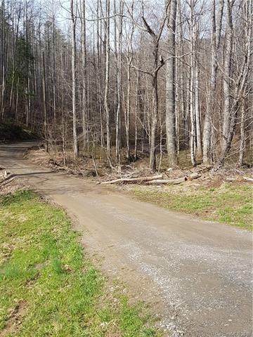 0000 Harris Ridge Road - Photo 1
