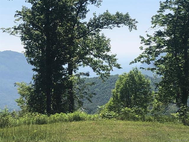 91 Lure View Lane - Photo 1