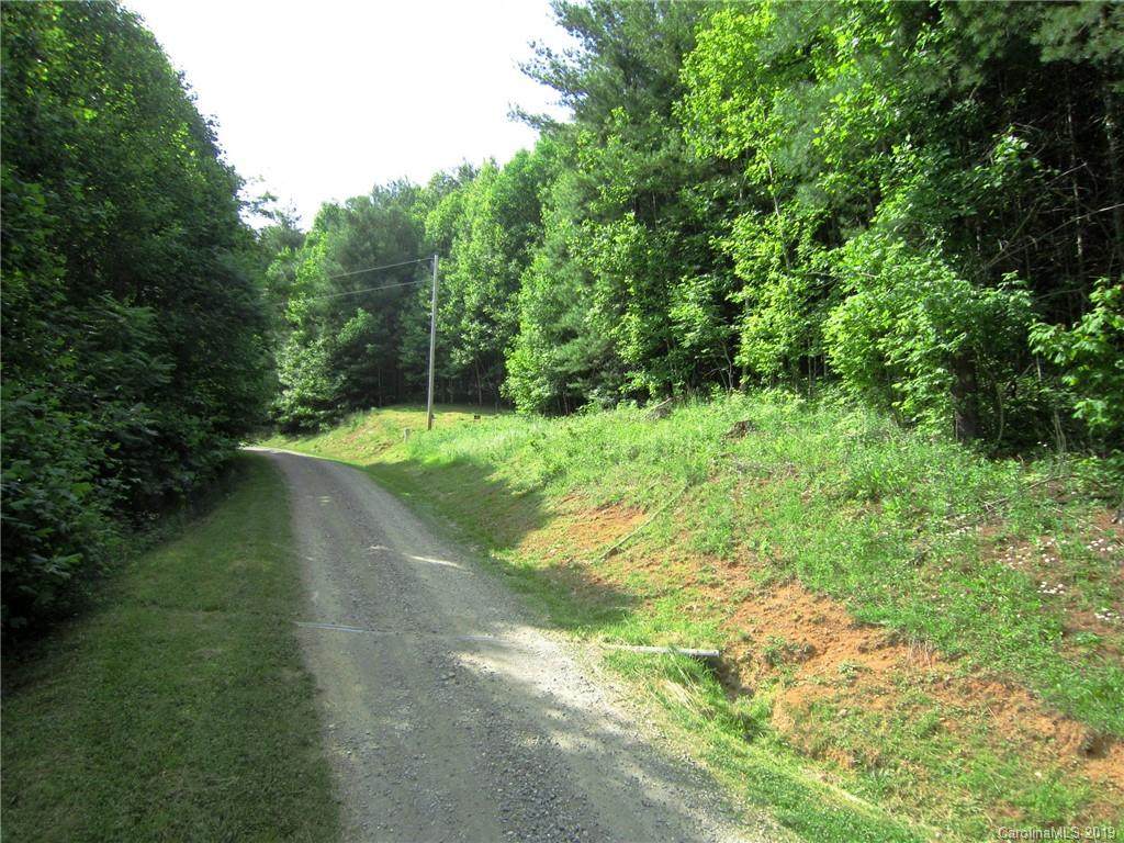 596 Black Bear Drive - Photo 1