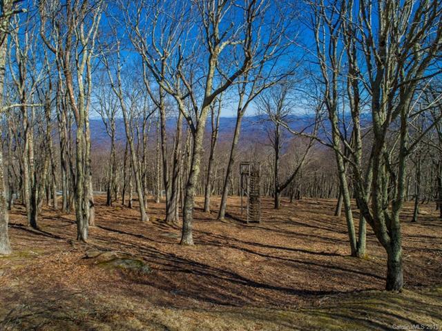 Lot 49 Rocky Parkway - Photo 1
