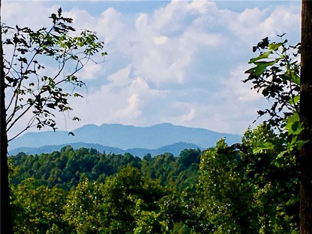 Lot 968, 4893 Soaring Top Lane - Photo 1