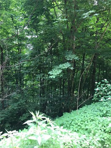 Lot 409 Kitty Lane - Photo 1