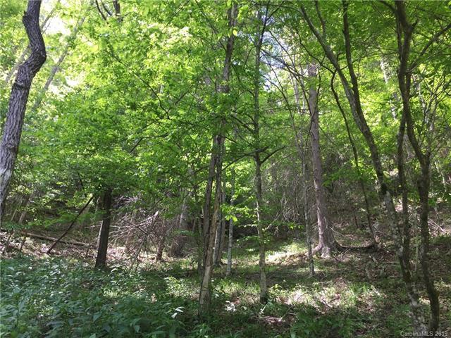 1423 Little Creek Road - Photo 1