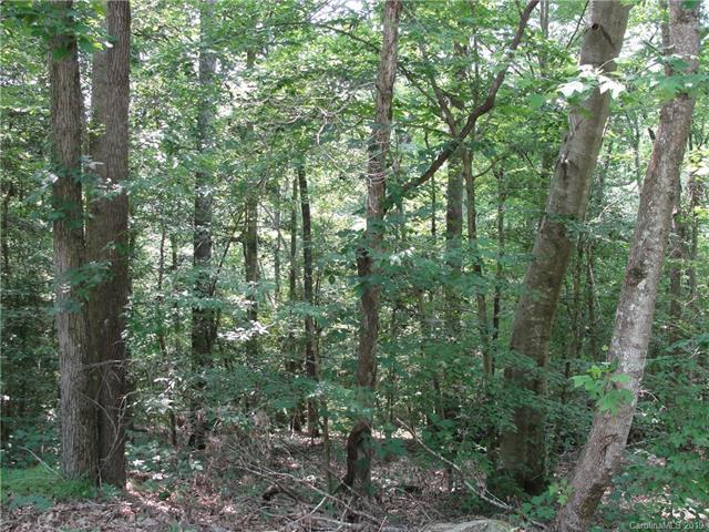 000 Fancy Hill Road - Photo 1
