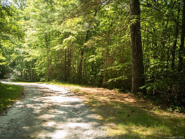 Old Toxaway Road - Photo 1