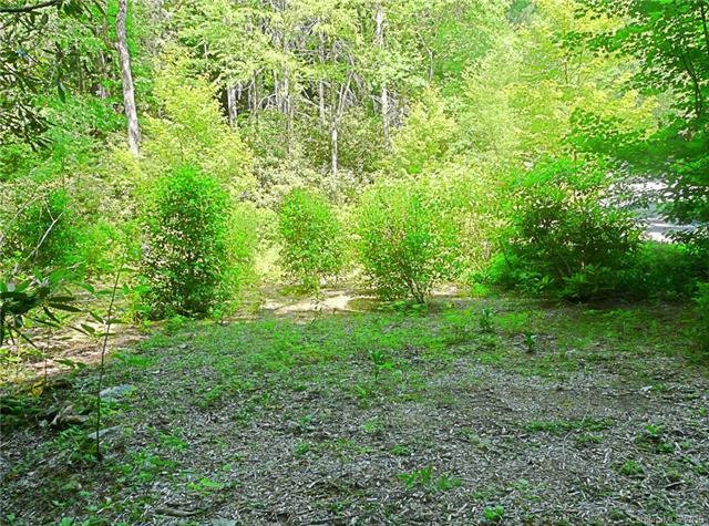 Lot 1 Toxaway Drive - Photo 1