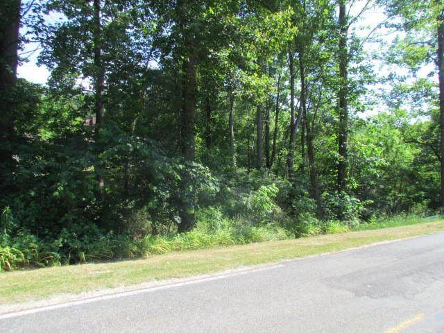 307 Carson Chapel Road - Photo 1