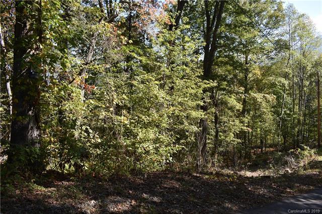 Lot 21B Peaceful Lane - Photo 1