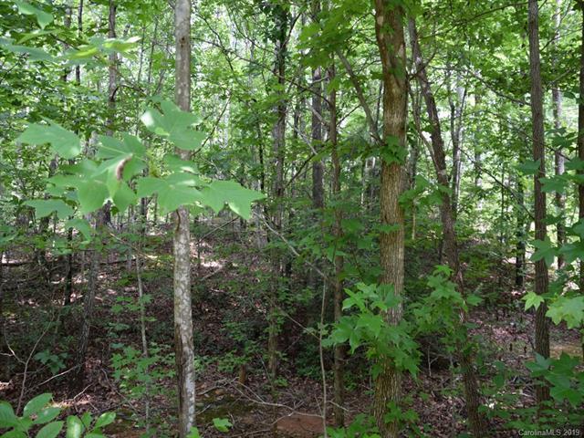 Lot #36 Dublin Lane - Photo 1