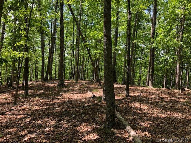 #### Wild Turkey Loop - Photo 1
