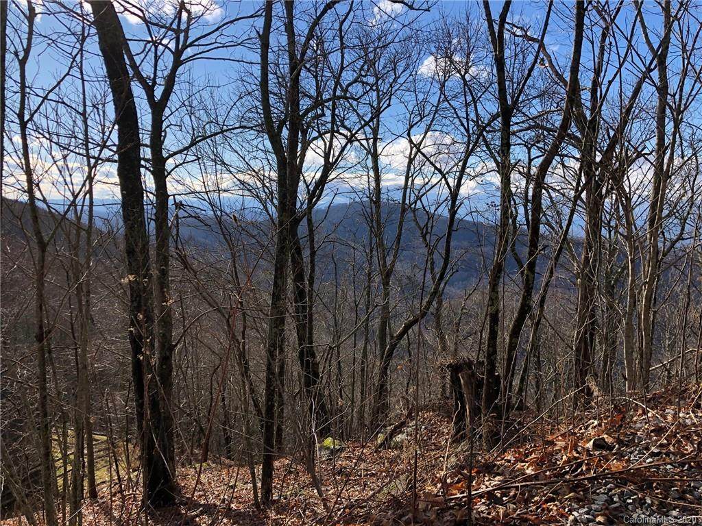 TBD Hickory Forest Road - Photo 1