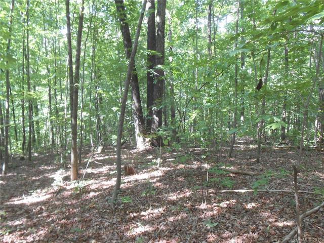 000 Goforth Road - Photo 1