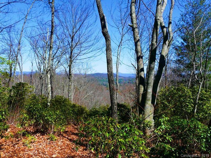 TM1 24 Toxaway Court - Photo 1