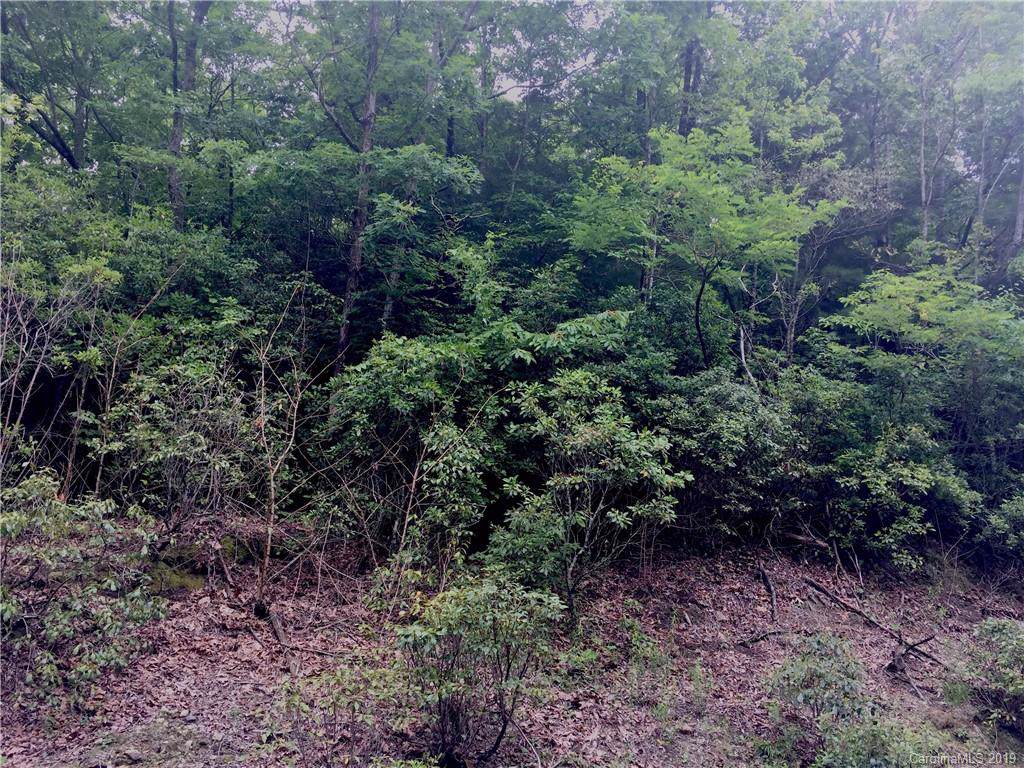 Lt 34 Indian Ridge Trail - Photo 1