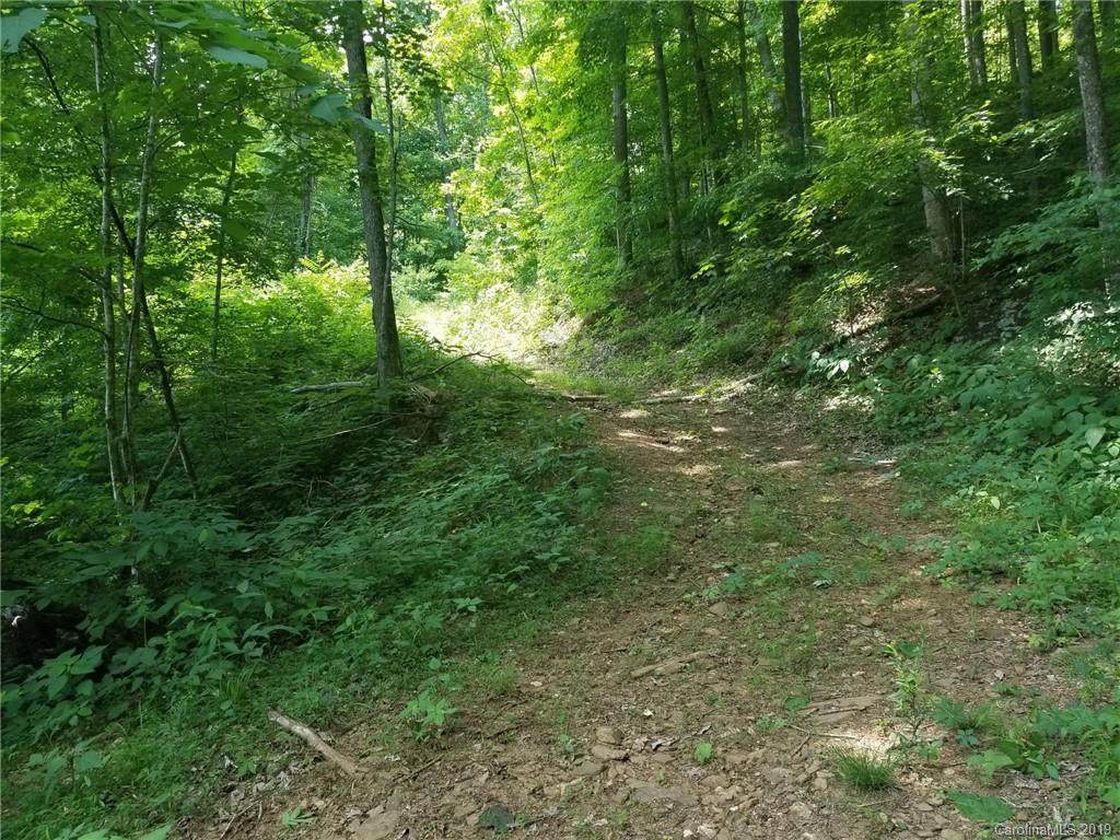 TBD Ayers Mountain Road - Photo 1