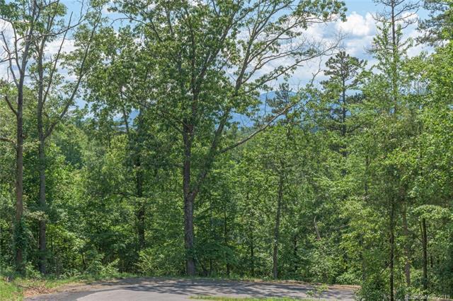 132 Saddle Ridge Drive - Photo 1